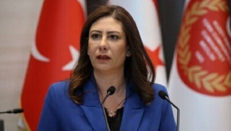 İncirli: Demokratik hukuk devleti ilkesi zedelendi