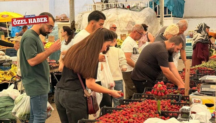 Pazarın fiyat şampiyonu Asma Yaprağı: 800 TL