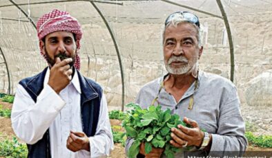 Üretimde maliyetler düşecek