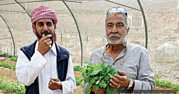 Üretimde maliyetler düşecek