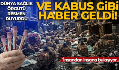 Hantavirüs yeni pandemi başlangıcı mı? DSÖ’den flaş açıklama: İnsandan insana bulaşma olabilir!