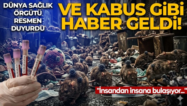 Hantavirüs yeni pandemi başlangıcı mı? DSÖ’den flaş açıklama: İnsandan insana bulaşma olabilir!
