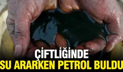 Çiftliğinde su ararken petrol buldu: Neye uğradığını şaşırdı
