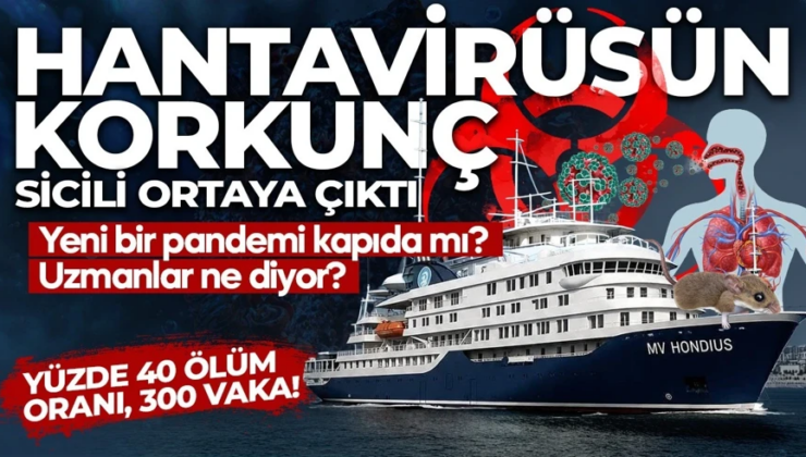 Yüzde 40 ölüm oranı, 300 vaka! “Tarihin en az bilinen virüsü” hantavirüsün korkunç sicili ortaya çıktı!