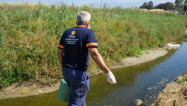 LTB, 7 Ekiple sivrisinekle etkin ve biyolojik mücadeleyi sürdürüyor
