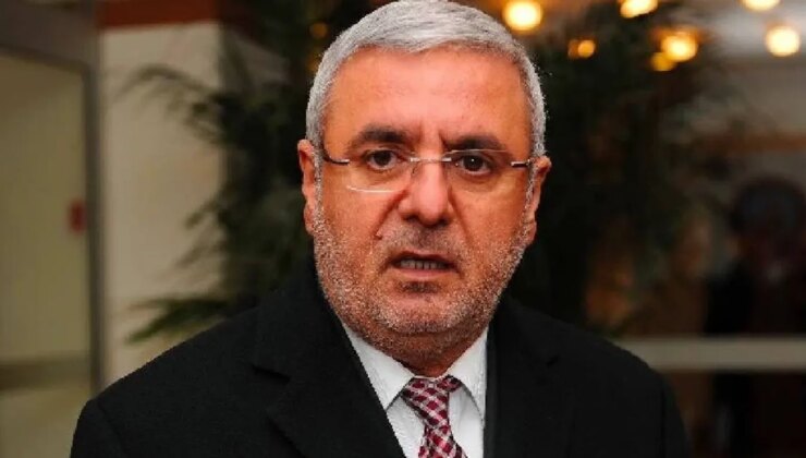 Metiner: Kıbrıs davasına gönül vermiş biri olarak vatandaşlık başvurusu yaptım
