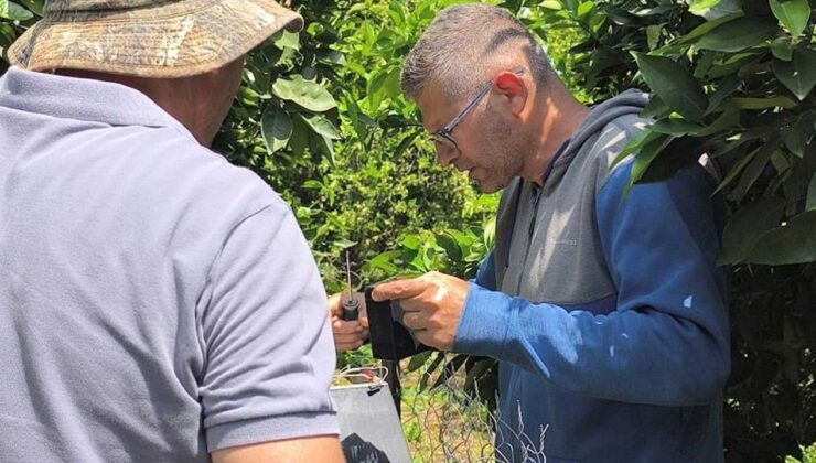 Narenciye üretiminde su tasarrufu ve verim artışı için proje başlatıldı