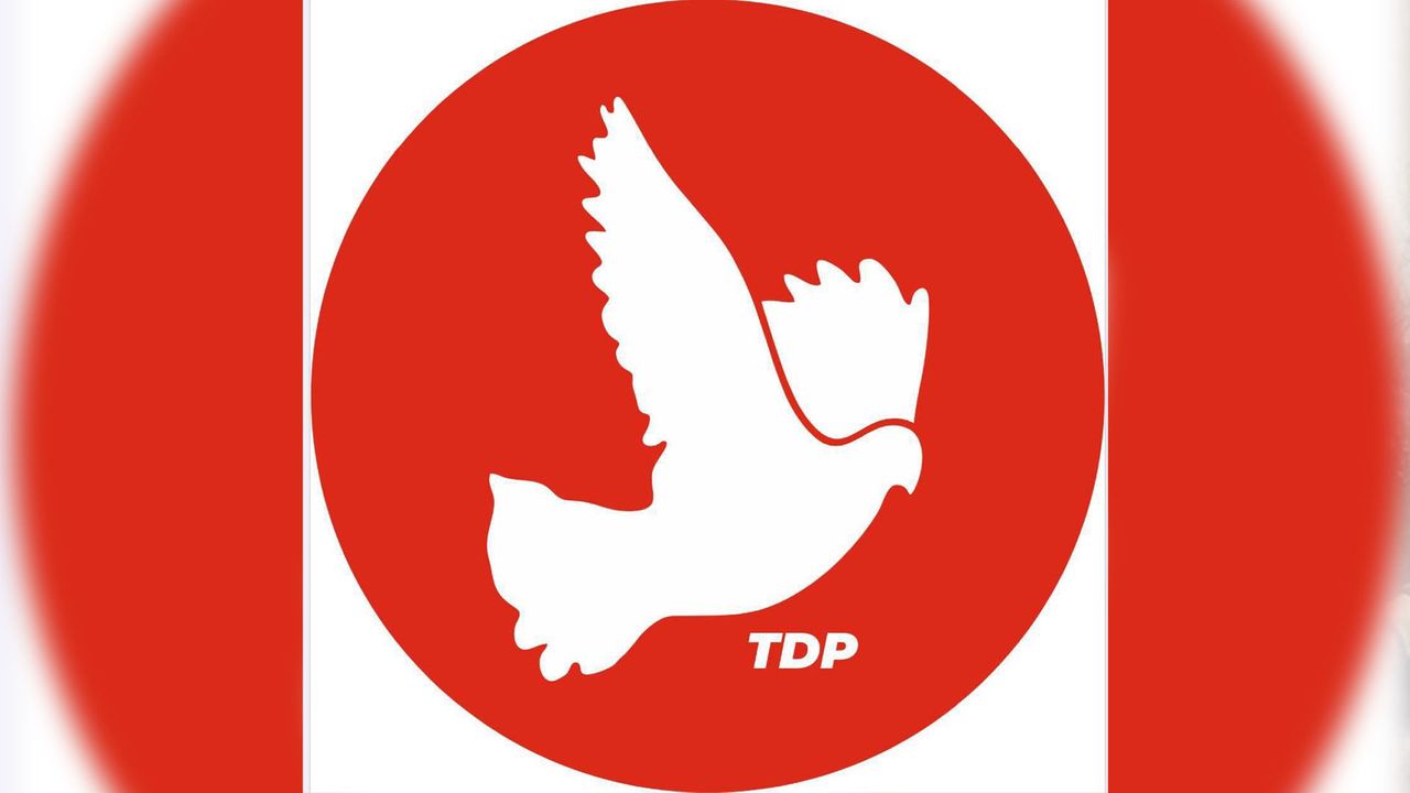 TDP: Annelerin yükü büyüyor, sosyal devlet susuyor