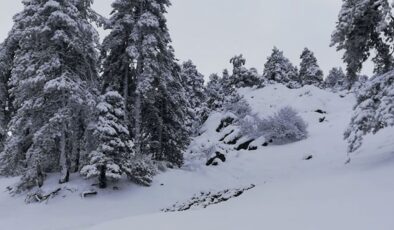Troodos’ta Kar Bekleniyor: Hava Soğuyor