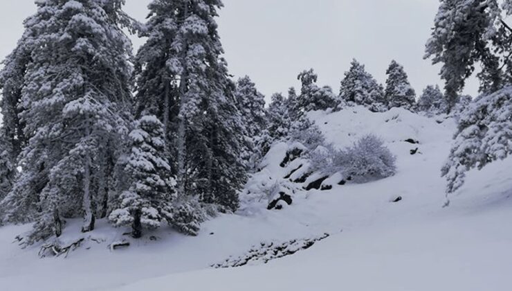 Troodos’ta Kar Bekleniyor: Hava Soğuyor