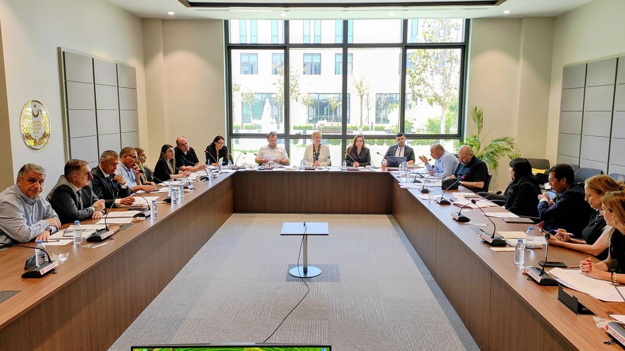 Ekonomi, Maliye, Bütçe ve Plan Komitesi bir öneri ile üç yasa tasarısını görüştü