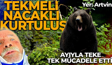Ayı sürükledi, o direndi! Artvin’de korku dolu anlar: Yerde tekme atıp nacakla vurdum