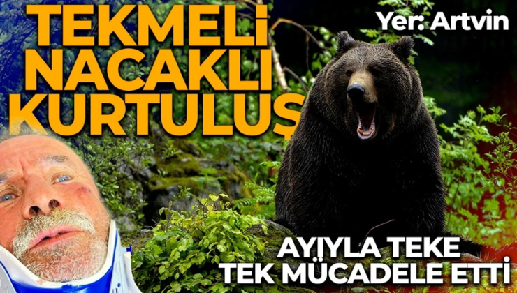 Ayı sürükledi, o direndi! Artvin’de korku dolu anlar: Yerde tekme atıp nacakla vurdum