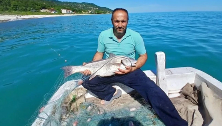Karadeniz’de balıkçıların ağına takılan balık şaşırttı