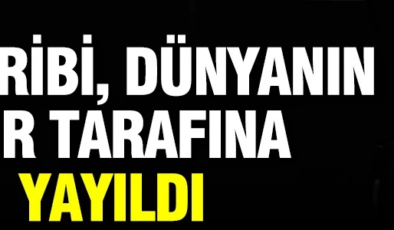 Kuş gribi, dünyanın her tarafına yayıldı