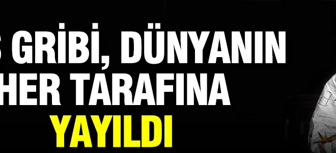 Kuş gribi, dünyanın her tarafına yayıldı