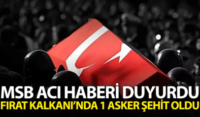 Milli Savunma Bakanlığı Fırat Kalkanı bölgesinde 1 askerin şehit olduğunu duyurdu