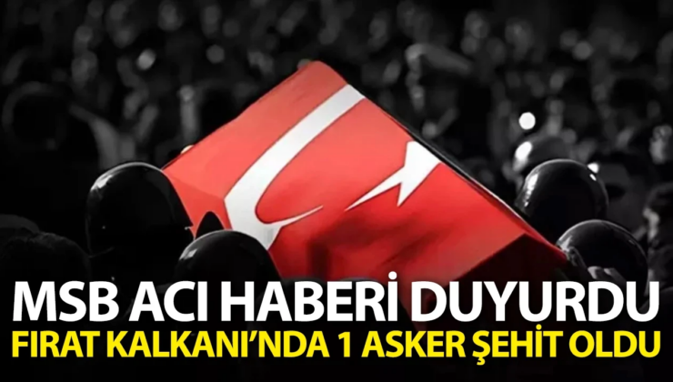 Milli Savunma Bakanlığı Fırat Kalkanı bölgesinde 1 askerin şehit olduğunu duyurdu