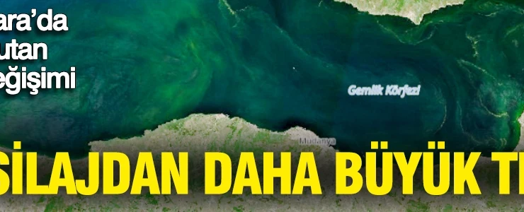 Müsilajdan daha büyük tehdit mi? Marmara’da korkutan renk değişimi