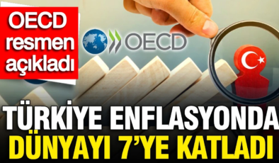 Türkiye enflasyonda dünyayı 7’ye katladı: OECD resmen açıkladı
