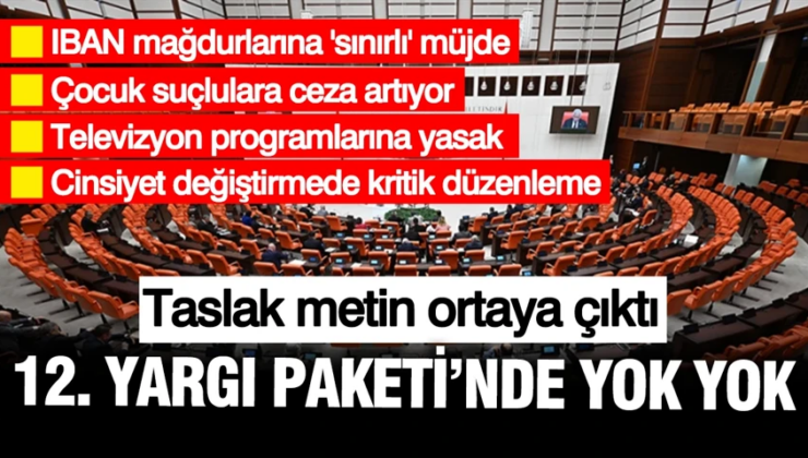 12. yargı paketinde yok yok: IBAN mağdurları, çocuk suçluya ceza, cinsiyet değiştirme…