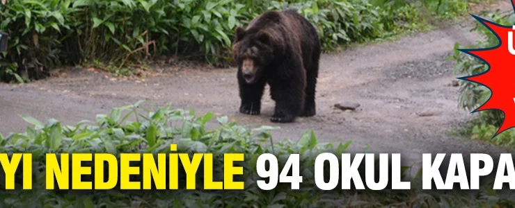 Ülkede alarm verildi…Bir ayı nedeniyle 94 okul kapatıldı