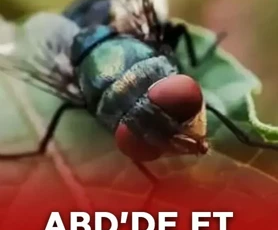 ABD’de et yiyen parazit alarmı!