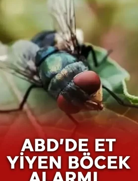 ABD’de et yiyen parazit alarmı!