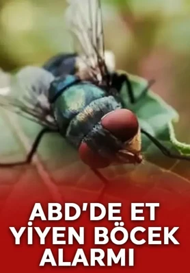 ABD’de et yiyen parazit alarmı!