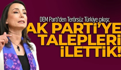 DEM Parti’den Terörsüz Türkiye çıkışı: AK Parti’ye talepleri ilettik