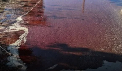 Veteriner Dairesi, Gazimağusa Belediye Mezbahası’nı geçici olarak kapatttı