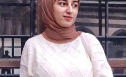 Adalet Bakanlığı'ndan Rojin açıklaması! O iddiayı yalanladılar