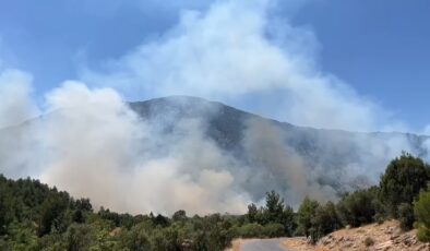 Antalya'da ormanlık alanda yangın! Ekiplerin müdahalesi sürüyor