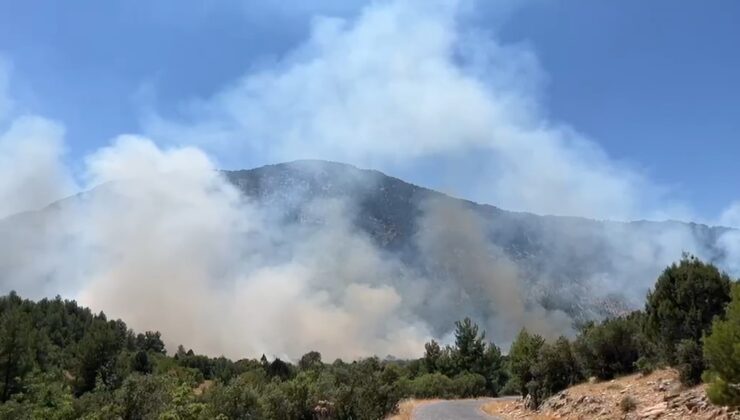 Antalya'da ormanlık alanda yangın! Ekiplerin müdahalesi sürüyor