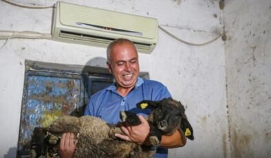 Avukatlığı bıraktı hayvancı oldu: Ahıra klima taktırdı