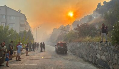 Aydın'da art arda yangınlar
