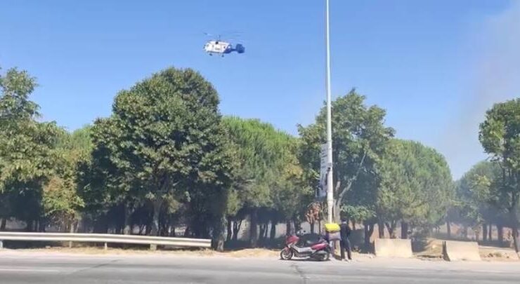 Başakşehir'de torpil yangını! Ağaçlık alan alevlere teslim oldu