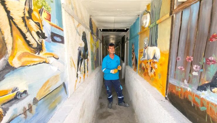 Belediye işçisi sokakları sanatla buluşturdu