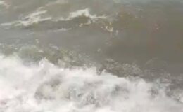 Bodrum’da deniz kirliliği: Başsavcılık harekete geçti