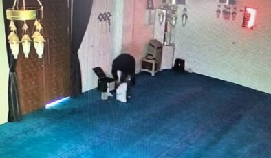 Camideki yardım kutusunu kaldırım taşıyla kırıp 100 bin TL çaldı