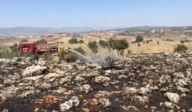 Diyarbakır'da 270 dönümlük alan küle döndü