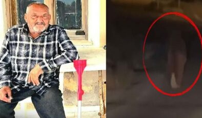 Evinde uyurken ayı saldırdı: Öldürdü ve kaçtı!