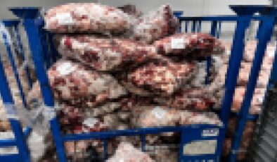 Görüntüler mide bulandırdı! Yakalanmasalar halka yedireceklerdi