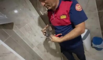 Havalandırma boşluğunda mahsur kalan sığırcık kurtarıldı