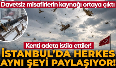 Balkanlardan Türkiye’ye girdiler, İstanbul’da gören telefonuna sarıldı! Sokakta, balkonda, evde… Vatandaşlar ne yapacağını şaşırdı