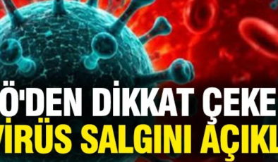 DSÖ’den dikkat çeken hantavirüs salgını açıklaması