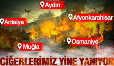 Ege bölgesi yanıyor: Yüreklere kor düştü