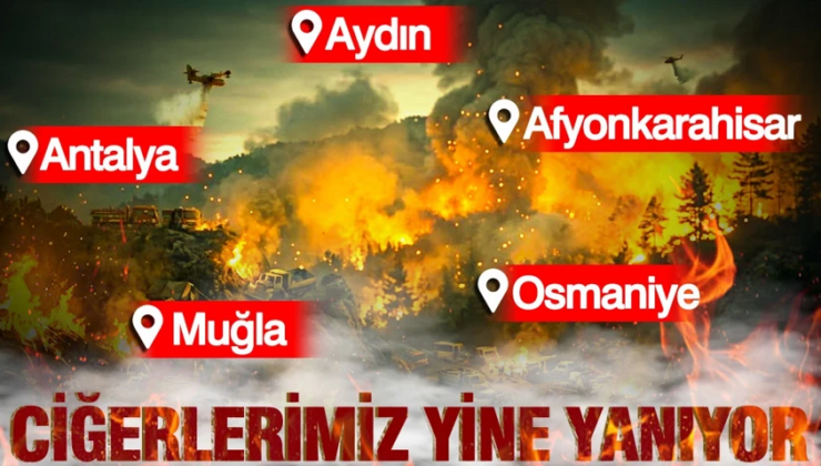 Ege bölgesi yanıyor: Yüreklere kor düştü