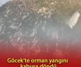 Göcek’te orman yangını kabusa döndü: Alevler evlere kadar ulaştı!