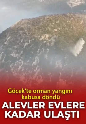 Göcek’te orman yangını kabusa döndü: Alevler evlere kadar ulaştı!